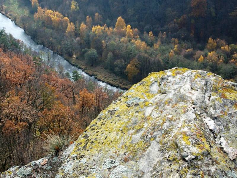 NP Podyjí - kaňon Dyje u Pašerácké stezky